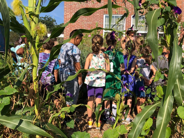 Students stand in a garden