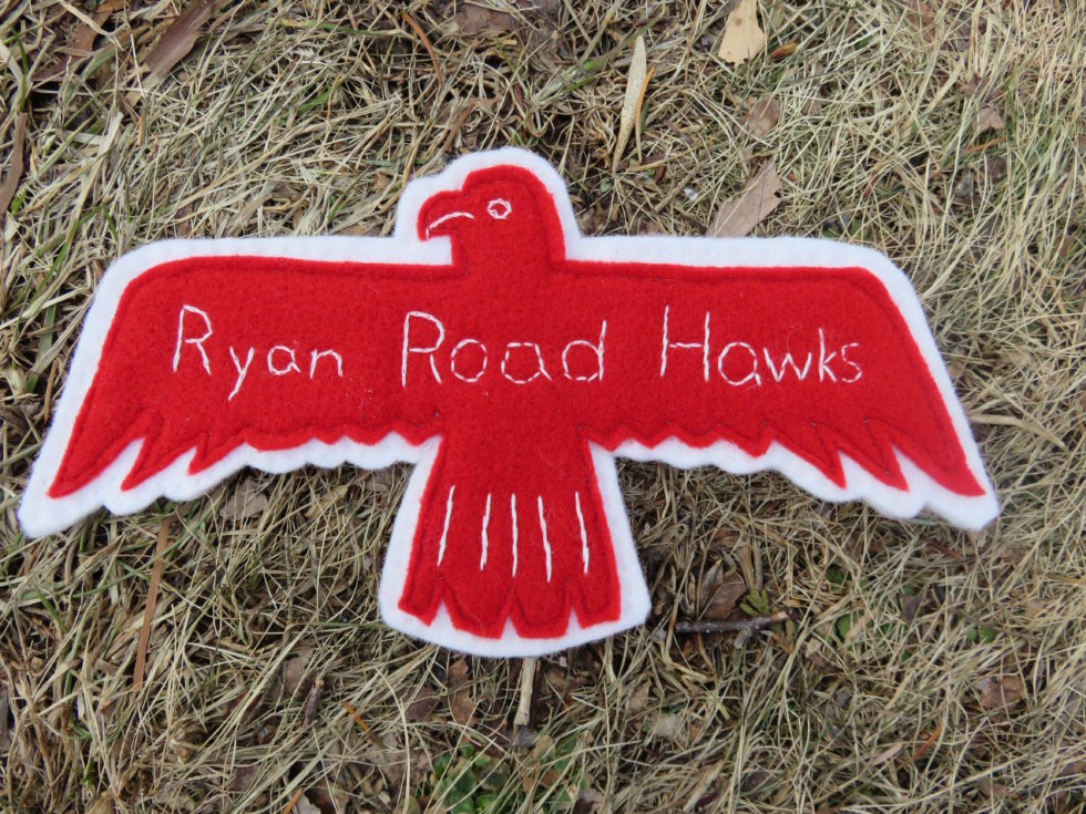 What the Hawk Saw at Ryan Road!