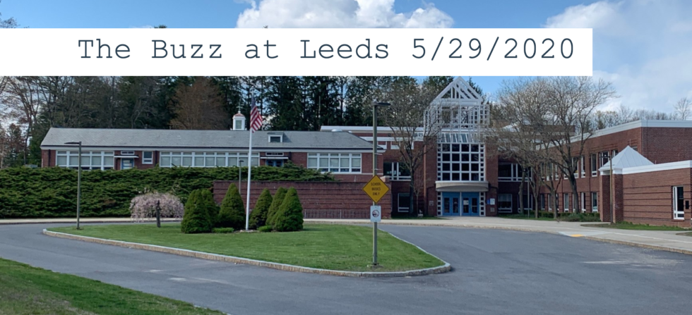 The Buzz at Leeds 5/29/2020