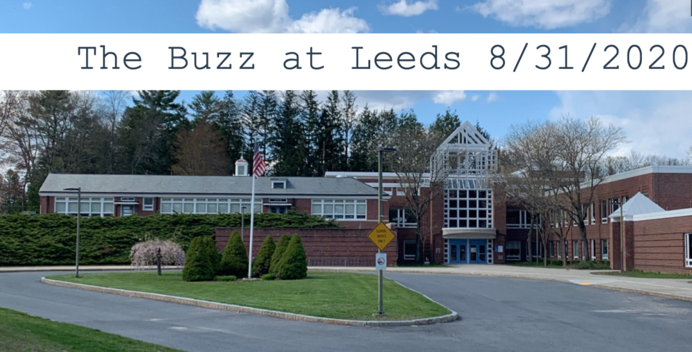 The Buzz at Leeds 8/31/2020