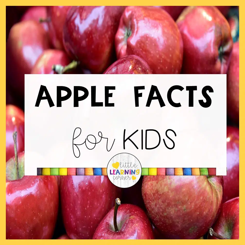 apple-facts-for-kids-little-learning-corner.jpg